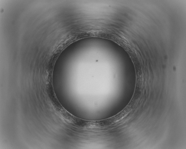 X0000088460750200706121504