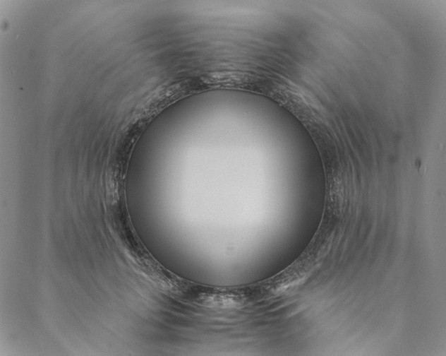 X0000088460751200706121504