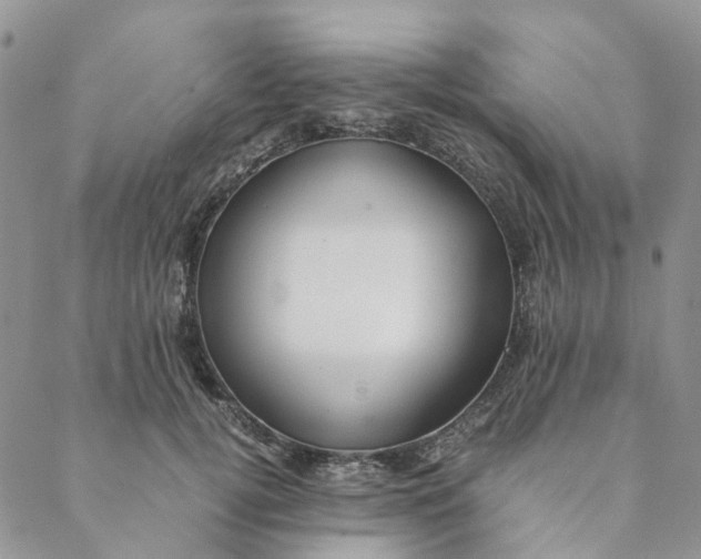 X0000088460752200706121504