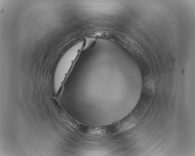 X0000088460754200706121504