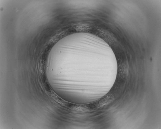 X0000088460755200706121504