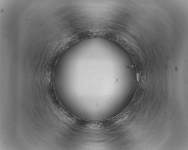 X0000088460756200706121504