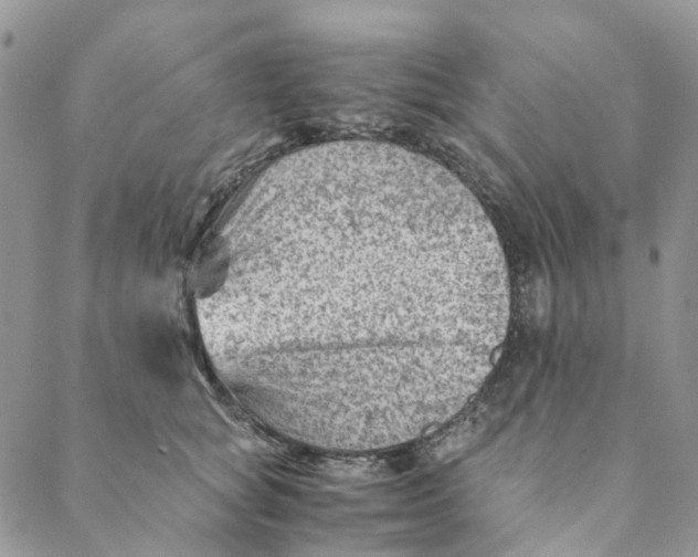 X0000088460757200706121504