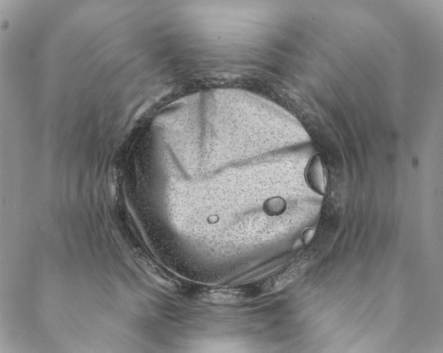 X0000088460758200706121504