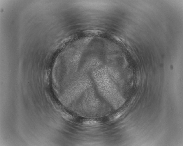 X0000088460759200706121504