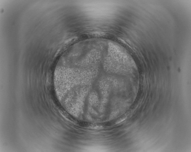 X0000088460760200706121504