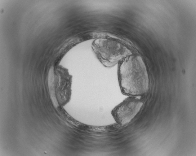 X0000088460761200706121504