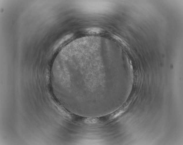 X0000088460762200706121504