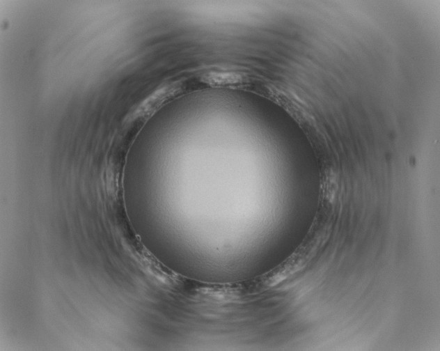 X0000088460763200706121504