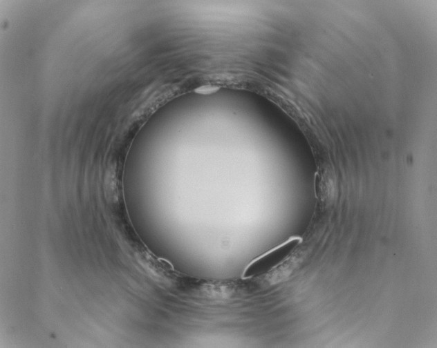 X0000088460764200706121504