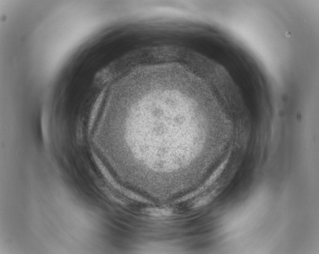 X0000088460765200706121504