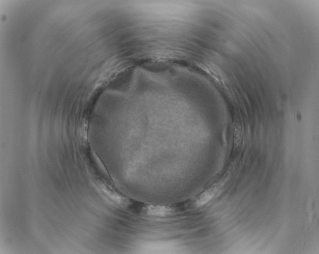 X0000088460766200706121504