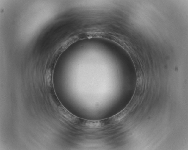 X0000088460767200706121504