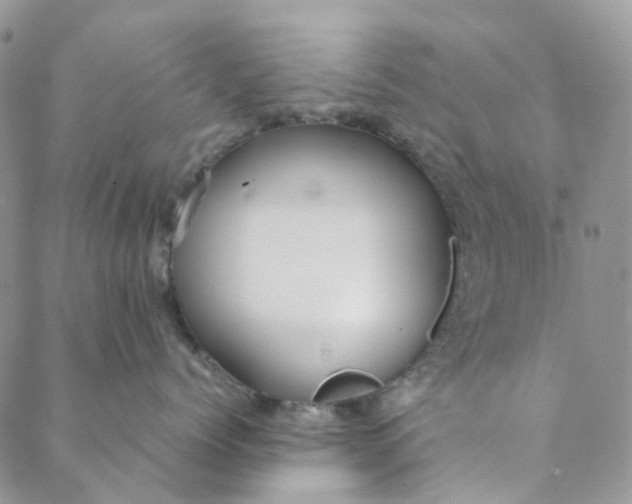 X0000088460768200706121504