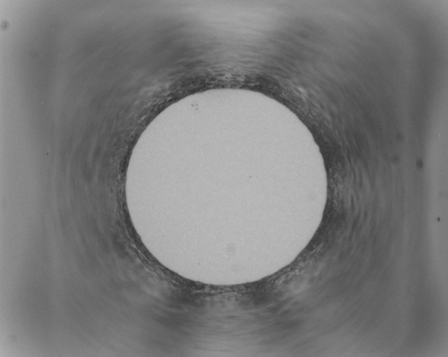 X0000088460769200706121503