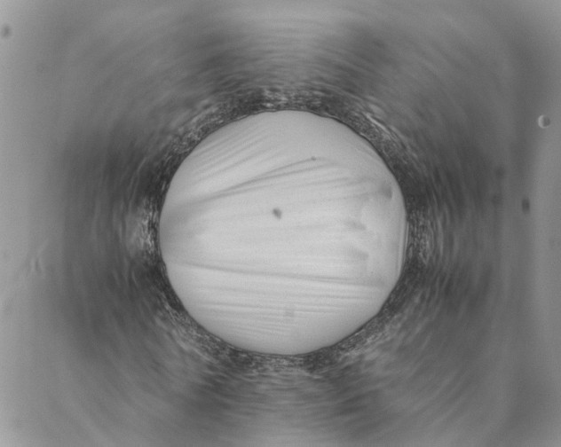 X0000088460770200706121503