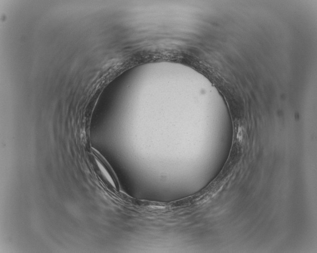 X0000088460771200706121503