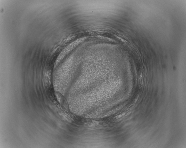 X0000088460772200706121503