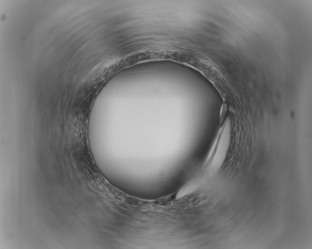 X0000088460773200706121503