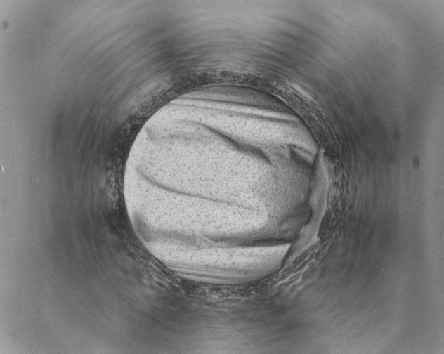 X0000088460774200706121503