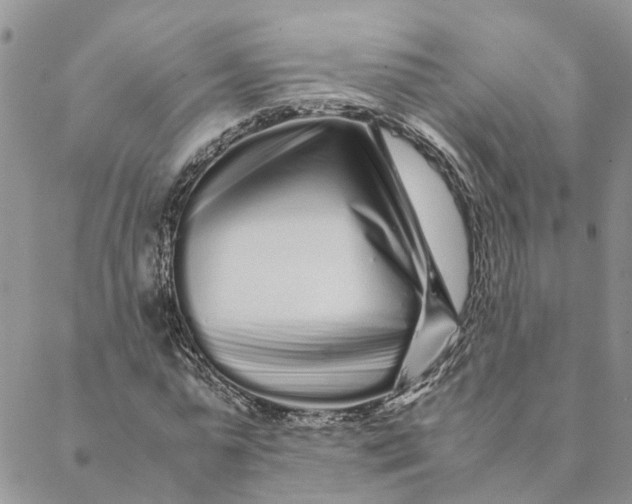 X0000088460775200706121503