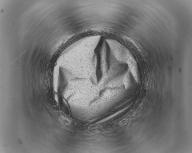 X0000088460776200706121503