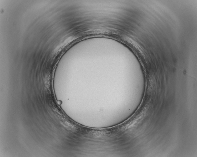 X0000088460778200706121503