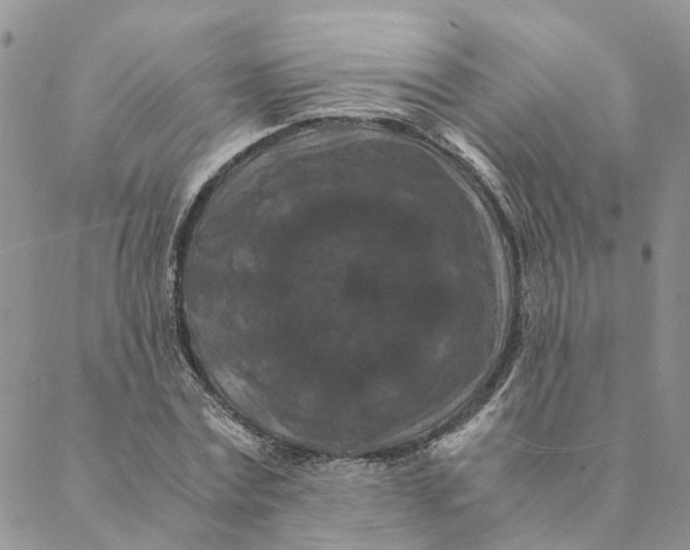 X0000088460779200706121503