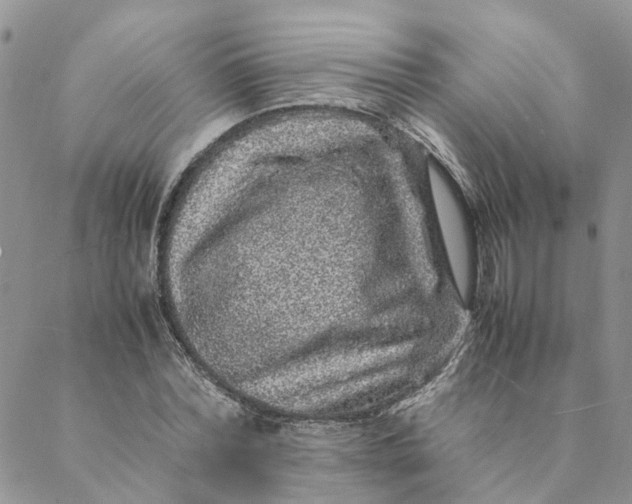 X0000088460780200706121503