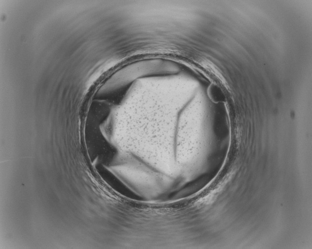 X0000088460781200706121503