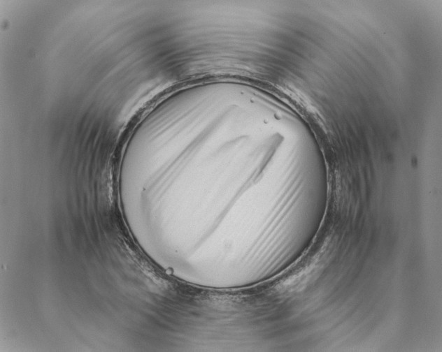 X0000088460782200706121503