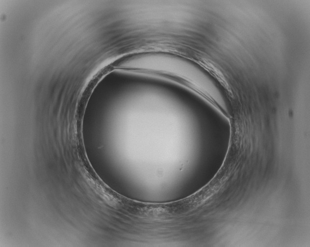 X0000088460784200706121503