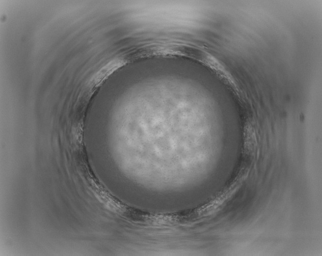 X0000088460785200706121503