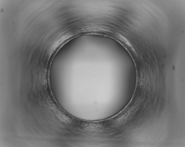 X0000088460786200706121503