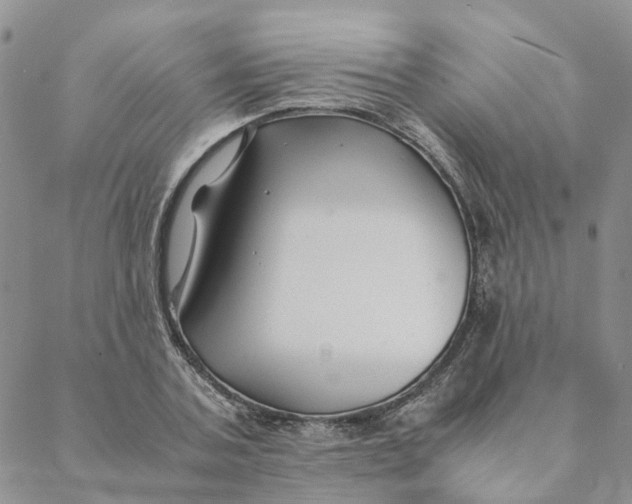 X0000088460787200706121503