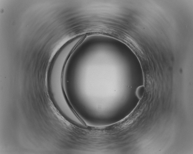 X0000088460788200706121503