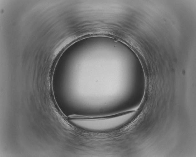 X0000088460789200706121503