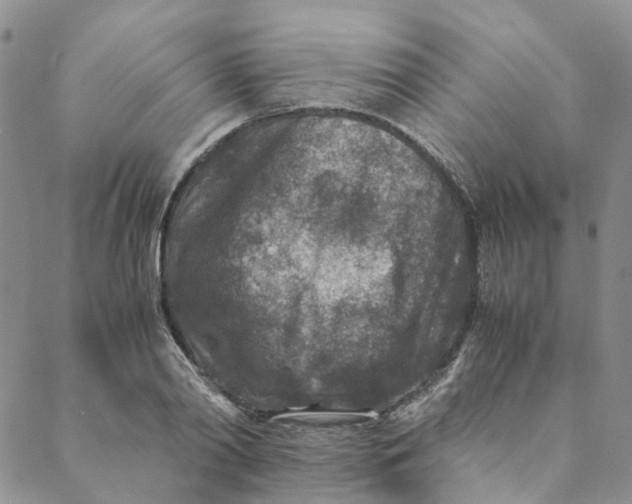 X0000088460790200706121503