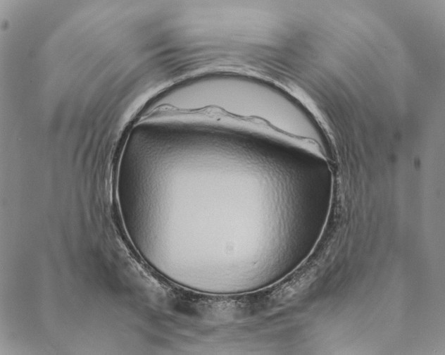 X0000088460791200706121503