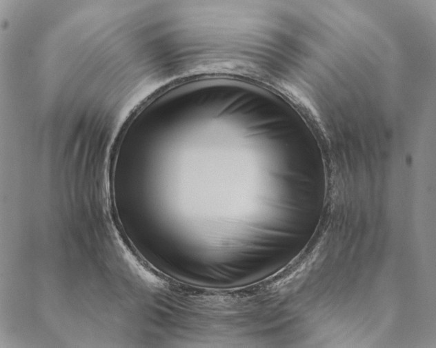 X0000088460792200706121503