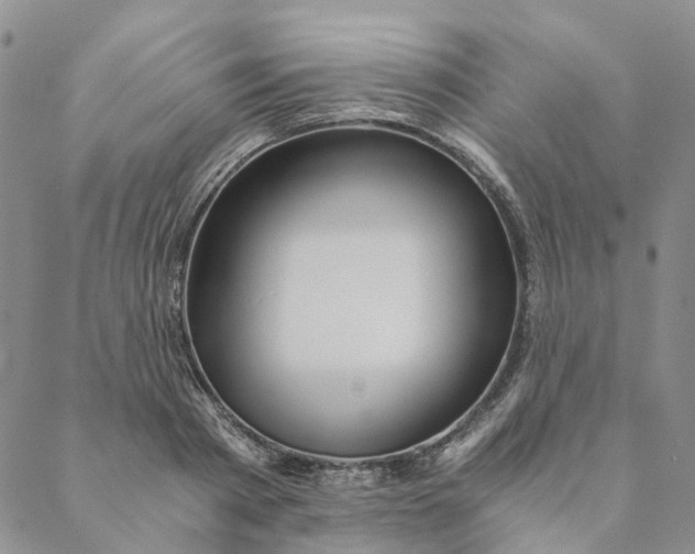 X0000088460793200706121503