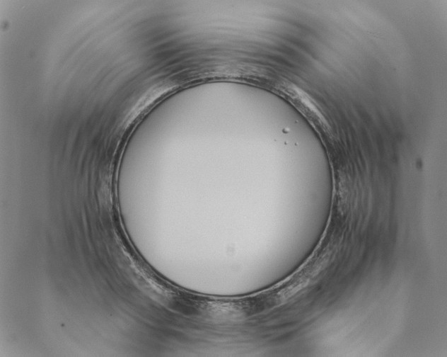 X0000088460794200706121503