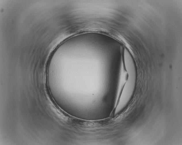 X0000088460795200706121503