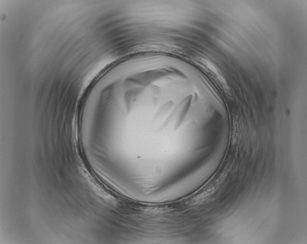 X0000088460796200706121503