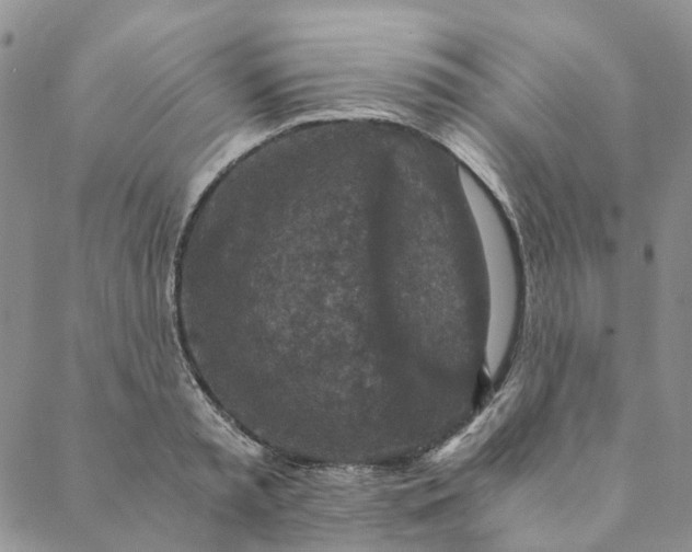 X0000088460797200706121503