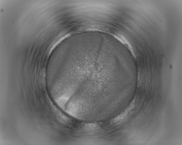 X0000088460798200706121503