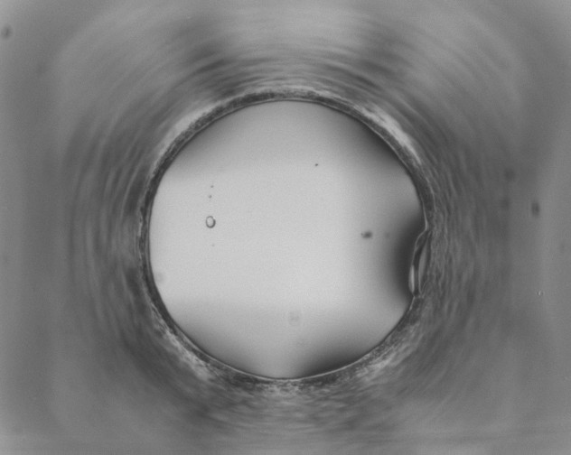 X0000088460799200706121503