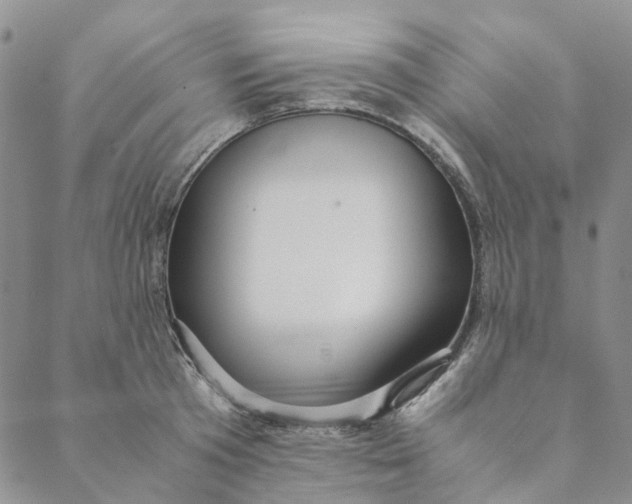 X0000088460801200706121503