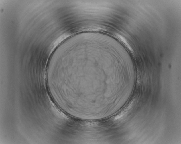 X0000088460802200706121503