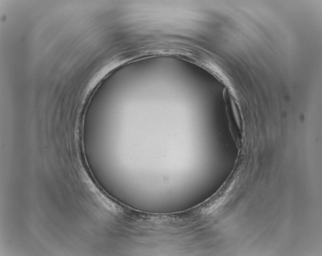 X0000088460803200706121503